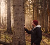 Stilteretraite veluwe