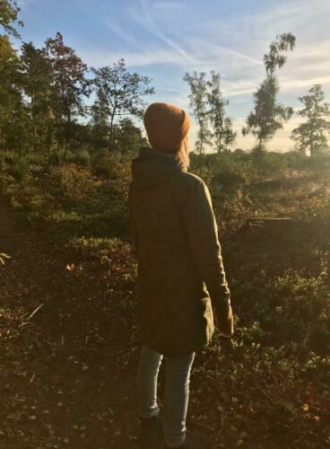 Professionals vertragen en reflecteren in de natuur tijdens eendaagse mindfulness training