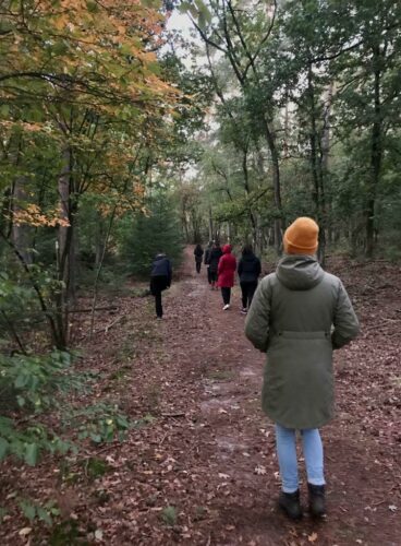 Versterken van veerkracht en focus tijdens mindfulness training in Nederland