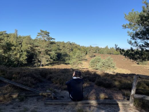 Mindfulness training en retraite in de natuur voor innerlijke rust en persoonlijk leiderschap