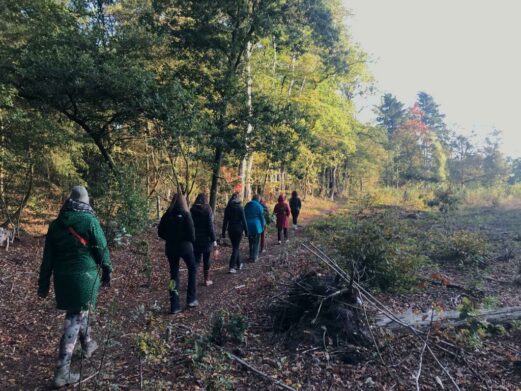 Training Innerlijke Rust en Focus op unieke natuurlocatie Veluwe