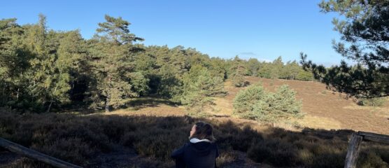 Mindfulness training en retraite in de natuur voor innerlijke rust en persoonlijk leiderschap