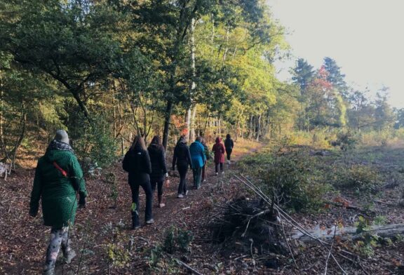 Training Innerlijke Rust en Focus op unieke natuurlocatie Veluwe