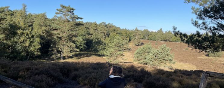 Mindfulness training en retraite in de natuur voor innerlijke rust en persoonlijk leiderschap