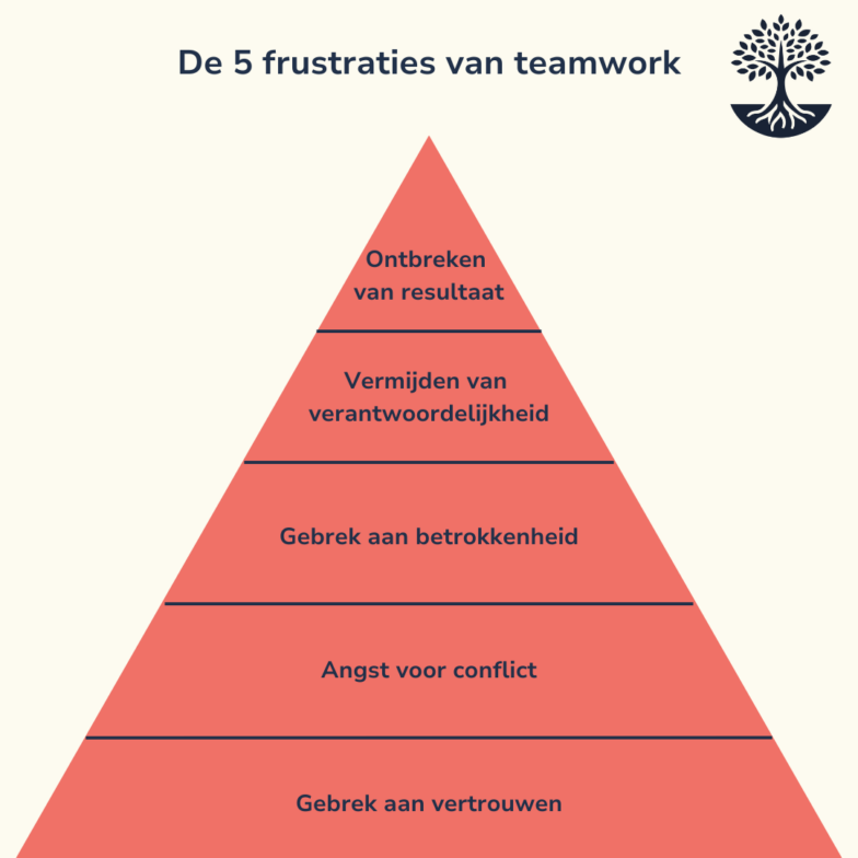 Lencioni De 5 frustraties van teamwork